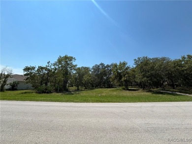Beach Lot Sale Pending in Homosassa, Florida