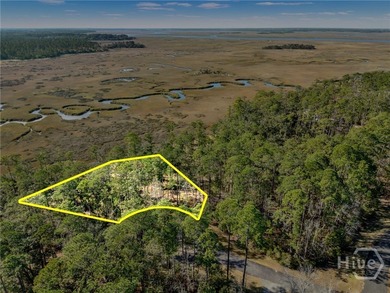 Beach Lot Active Under Contract in Townsend, Georgia