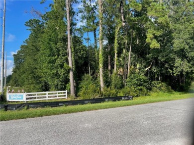 Beach Lot For Sale in Brunswick, Georgia