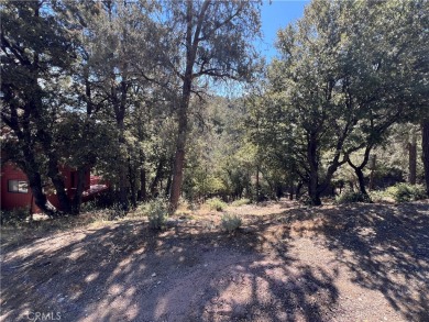 Beach Lot For Sale in Pine Mountain Club, California