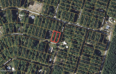 Beach Lot For Sale in Blounts Creek, North Carolina