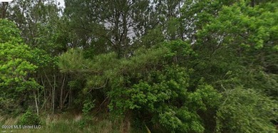 Beach Lot For Sale in Bay Saint Louis, Mississippi