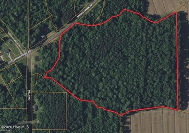 Beach Acreage Sale Pending in Aurora, North Carolina