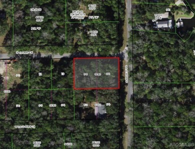 Beach Lot For Sale in Homosassa, Florida