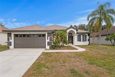 Beach Home For Sale in Tarpon Springs, Florida