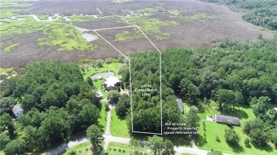 Beach Acreage Sale Pending in Townsend, Georgia