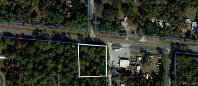 Beach Lot For Sale in Inglis, Florida