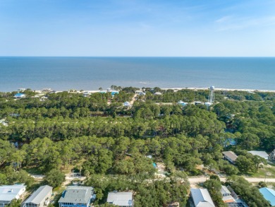 Beach Lot For Sale in Panacea, Florida