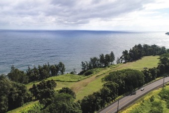 Beach Acreage For Sale in Hakalau, Hawaii