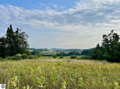 Beach Acreage Sale Pending in Ellsworth, Michigan