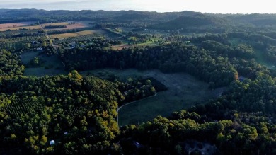 Beach Acreage For Sale in Shelby, Michigan