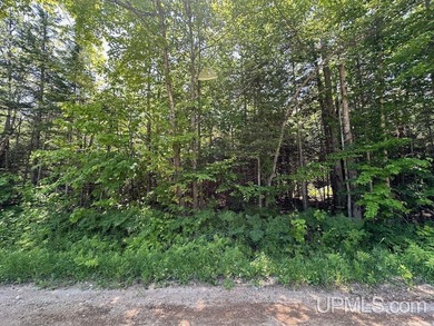 Beach Acreage For Sale in Grand Marais, Michigan