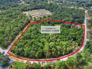 Beach Acreage For Sale in Homosassa, Florida