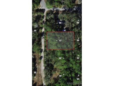 Beach Lot For Sale in Crystal River, Florida