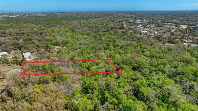 Beach Lot For Sale in Port Orange, Florida