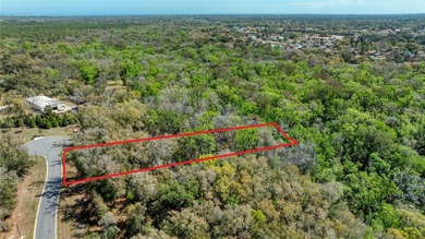 Beach Lot For Sale in Port Orange, Florida