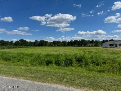 Beach Lot For Sale in Bath, North Carolina