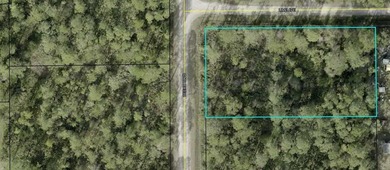 Beach Lot For Sale in Bunnell, Florida