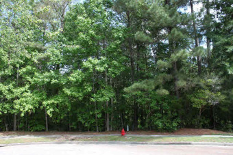 Beach Lot Off Market in Daphne, Alabama