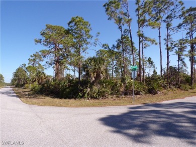 Beach Lot For Sale in Port Charlotte, Florida