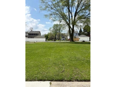Beach Lot For Sale in Detroit, Michigan