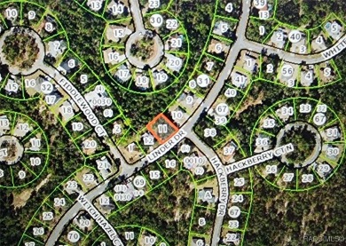 Beach Lot For Sale in Homosassa, Florida