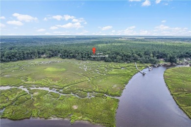 Beach Lot For Sale in Townsend, Georgia