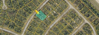 Beach Lot For Sale in North Port, Florida