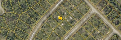 Beach Lot For Sale in North Port, Florida