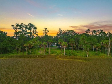 Beach Lot For Sale in Brunswick, Georgia