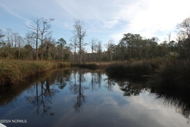 Beach Acreage For Sale in Havelock, North Carolina