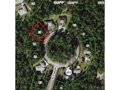 Beach Lot For Sale in Homosassa, Florida