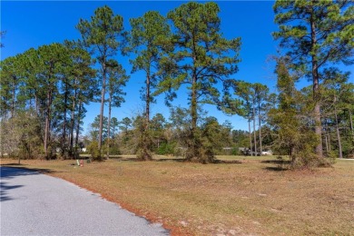 Beach Lot For Sale in Townsend, Georgia