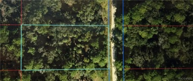 Beach Lot For Sale in Inglis, Florida