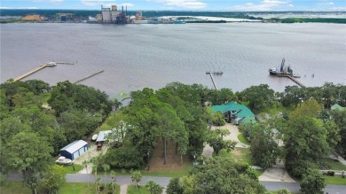 Beach Lot For Sale in Brunswick, Georgia