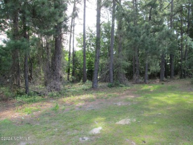 Beach Lot For Sale in Supply, North Carolina