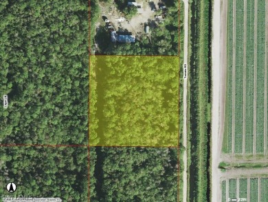 Beach Acreage For Sale in Naples, Florida