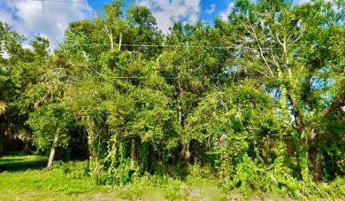 Beach Lot Sale Pending in Punta Gorda, Florida