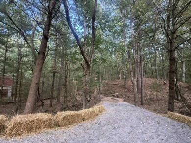 Beach Lot For Sale in Pentwater, Michigan