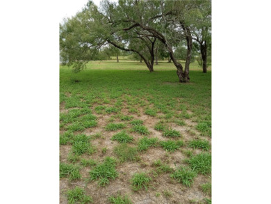 Beach Lot For Sale in Riviera, Texas