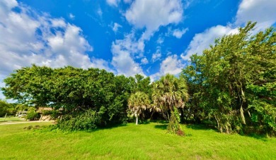 Beach Lot Sale Pending in Punta Gorda, Florida