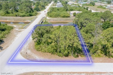 Beach Lot Sale Pending in Lehigh Acres, Florida