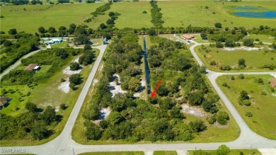 Beach Lot For Sale in Lehigh Acres, Florida