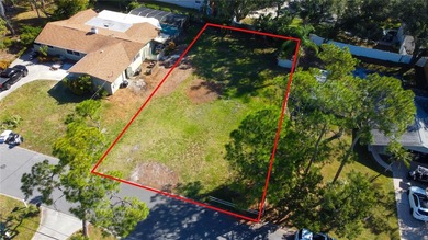 Beach Lot For Sale in Palm Harbor, Florida