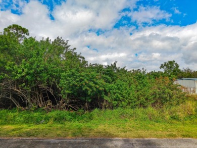 Beach Lot For Sale in Fort Pierce, Florida