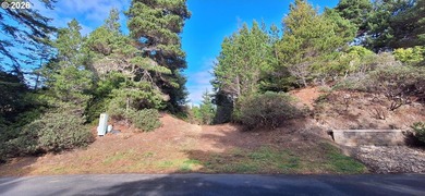Beach Lot For Sale in Florence, Oregon