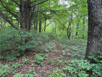 Beach Acreage For Sale in Ripley, New York