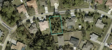 Beach Lot Sale Pending in Palm Coast, Florida