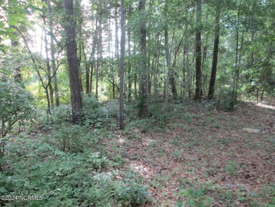 Beach Lot For Sale in Supply, North Carolina