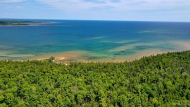 Beach Acreage For Sale in Manistique, Michigan